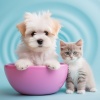 Concepción mental、Relaja a mi gato、Perros en casa - Tiempo Tranquilo Para Mascotas
