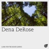 Dena Derose《Look for the Silver Lining》[MP3/LRC]