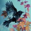 Marco de onda、Los Pájaros Cantores、Esculturas sonoras colectivas - Ecos Afinados De Las Plumas