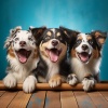 Musicoterapia con mascotas、Musica Suave、Palacio pacífico - Armonía Serena De Las Mascotas