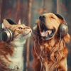 Relaxing Music for Pets、Auditory Illusion、Whispering Landscapes - Purring Pad Patter