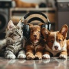 Light Vessel、Radiant Retreat、World Space - Soothing Sounds Calm Pets