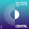Soul Central - Abstract Perfection