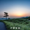 疗愈音律 - 彻底的放松与治愈
