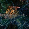 Meditation Zen Master - Mindshaft