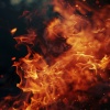 Thunderstorm Meditation、Noise and Nature、Wisemind - Meditation by the Gentle Blaze