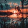 Reiki Music Energy Healing、The Flowes of Zyn、Zen Radio 1 - Dusk’s Melody Drapes the Horizon