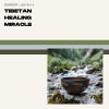 Lightrays、Peaceful Clarity、Meditation And Affirmations - Tibetan Healing Miracle