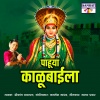 Shrikant Narayan - Pahuya Kalubaila