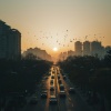 Poderosa fuerza mental、Vibraciones de polvo de estrellas、Vibraciones de disciplina - Sincronización De Latidos Urbanos