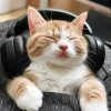 Some Cat Music、Lofi Gaming、Lo Fi Playlist - Calm Cat Melodies