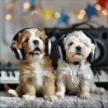 Songs for Dogs to Sleep To、Dreamy Dog、Cooking And Baking - Pooch Playful Tunes