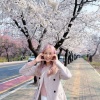 Switchers Sounds、The Nuves、Switchers Records - Sakura Anthem