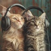 Music for Resting Cats、circular cermony、Night Time Chill Out Playlist《Purring to Peaceful Tones》[MP3/LRC]