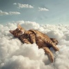 Gato Relajarse、Música fácil de domingo por la mañana、Música fácil de escuchar por la tarde - Melodías De Ronroneo Silencioso