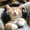 Catching Sleep、Low fi Beats、LoFi Remix Guys - Feline Melody Vibes