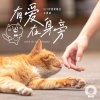张叶蕾 - 有爱在身旁 (521校园爱喵日主题曲)