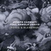 Joseph Capriati、arnold jarvis《Peace & Blessings (feat. Arnold Jarvis)》[MP3/LRC]