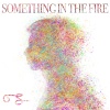 Guillermo Fernandez - Something in the fire