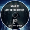 Shay DT、2024 Shay Dotan《Lost In The Rhythm》[MP3/LRC]