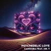 Cammora、Mr. V - Psychedelic Love