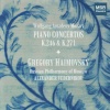 Gregory Haimovsky、Alexander Vedernikov、Russian Philharmony of Moscow - I. Allegro