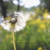 moneira、Miper - lover or a friend (Radio Edit)