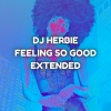 DJ Herbie - Feeling so Good