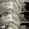 GIRI - Trama Genetica