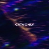 you lost - Gata Only (Sped Up)