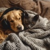 Gatos cascabeleo、Vacaciones en el océano、El sonido futuro de XYZ - Los Susurros De Los Bigotes Y Las Melodías Calmantes
