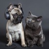 Musicoterapia con mascotas、Lista de reproducción suave y relajada、Canciones cristianas instrumentales - Melodía Calmante Para Mascotas