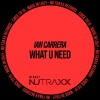 Ian Carrera - What U Need (Extended)