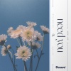 Jako Diaz、Liu Bei - Need You