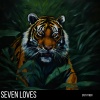 Seven Loves - Doing It Right