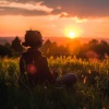 Dr. sonidos、Música ambiental pura、mañanas francesas - Los Acordes Se Acercan Más A Las Nubes