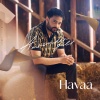Amrinder Gill、Dr Zeus - Havaa