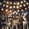 World Pet Music、Raining for Calm Pets、Dreamy Pet Sounds - Soothing Pet Vibes