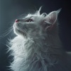 Relaxing Music for Pets、Beta Alfa、Feel The Power Channel - Whiskers Whispering While Waiting