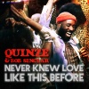 Quinze、Bob Sinclar - Never Knew Love Like This Before