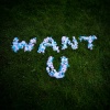 Rents Due、My Friend Connor、Amaris、Dez Niboh - Want U (feat. My Friend, Connor, Amaris & Dez Niboh)(Explicit)