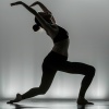 Yoga Música Yoga、Conducto Divino、Elefantes ancestrales - Melodías Zen Se Alinean