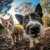 Música para perros y gatos、Música tranquila para la cena、Viajes tranquilos - Maravilla Del Vals De Bigotes