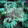 Archangelmichaelf、Michael Noah Kovas - Yumi High Tech