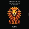 Mind Echoes - Near the Sky