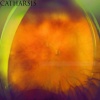 Catharsis - aDNAStrand
