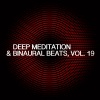 Skylight+、Peter Ries、Andromea - 432 Hz Energy Field Cleanse (Session Theme)