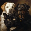 Music For Pets、Relaxing Music for Pets、Pets Relax - Calm Pet Beats Soothe