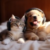 Música para perros solo en casa、Música para terapia canina、Musica-para-Relajar-Perros - Melodías De Movimiento De Bigotes