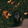 Ciao Italia !、Tahta Menezes - The Other Day